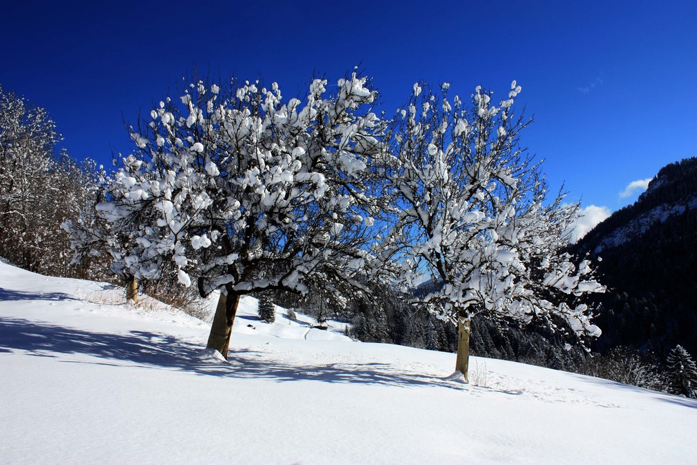 die schöne Seite des Winters