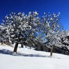 die schöne Seite des Winters