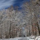 Die schöne Seite des Winters