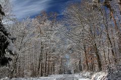 Die schöne Seite des Winters