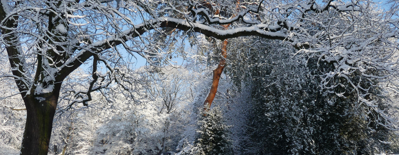 Die schöne Seite des Winters 