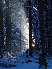 Die Schöne Seite des Winters