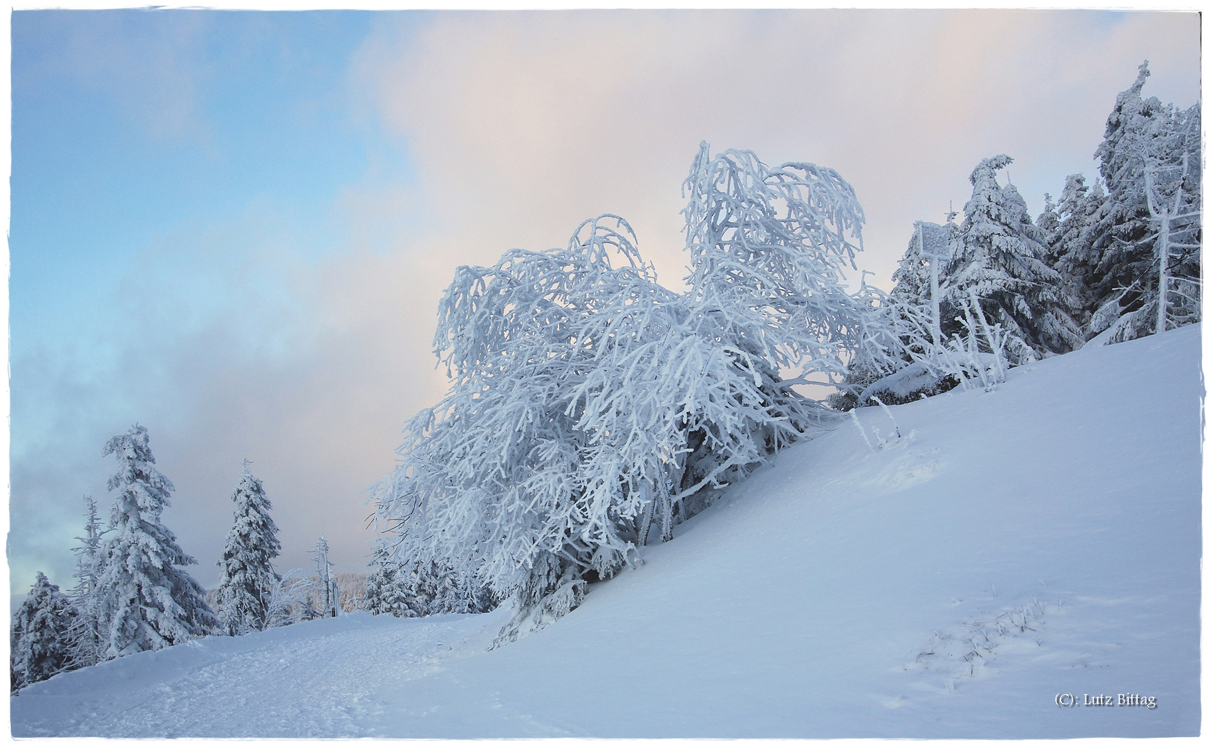 Die schöne Seite des Winters