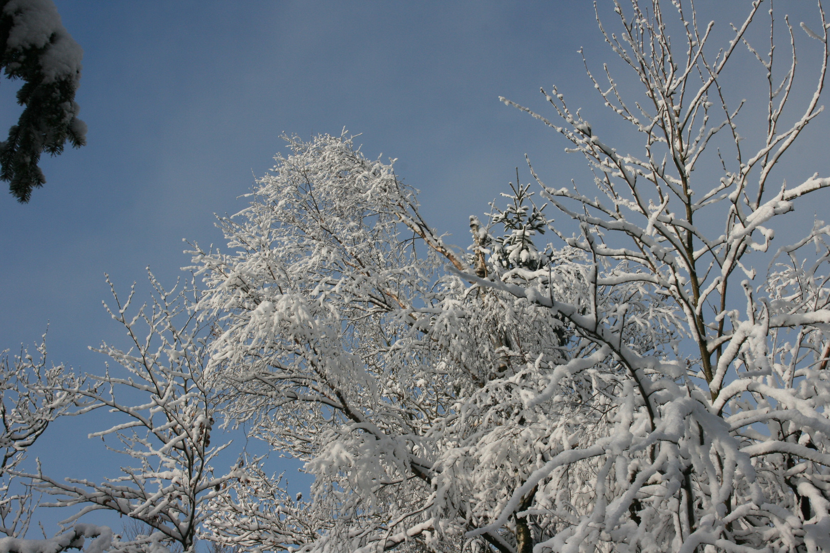 Die schöne Seite des Winters