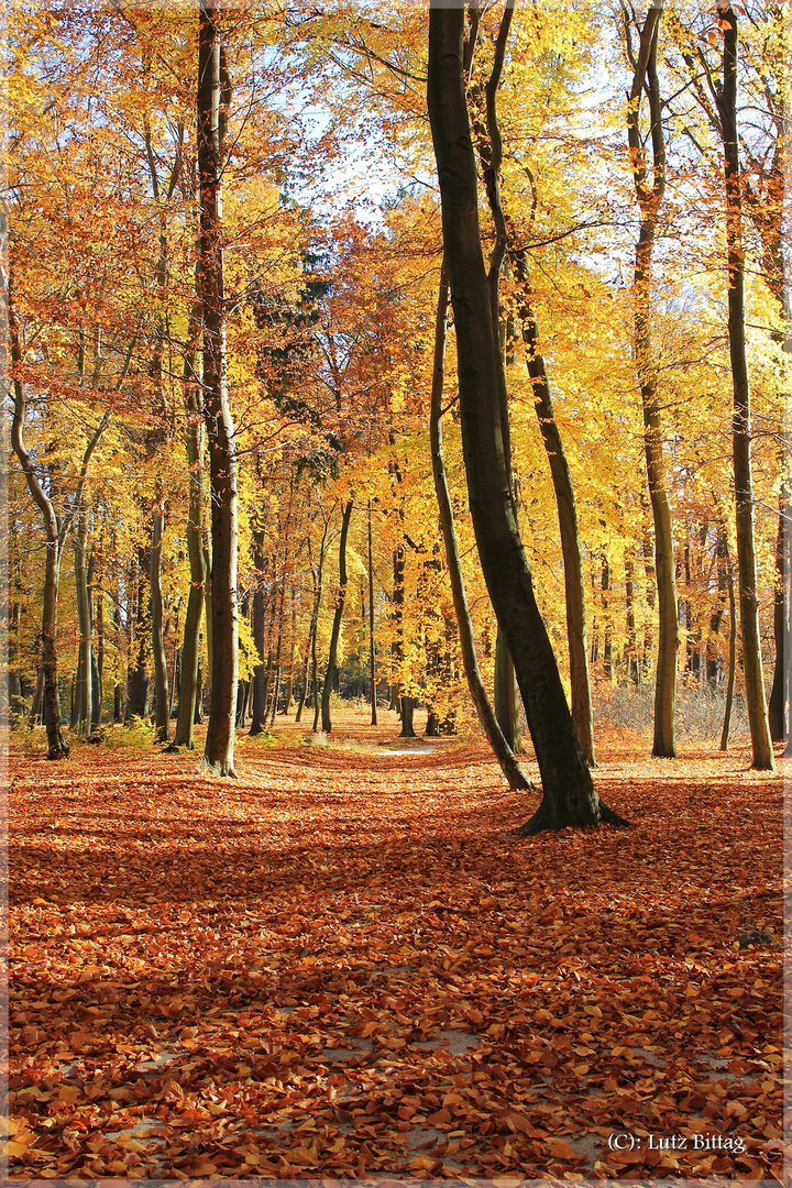 Die schöne Seite vom Herbst ...