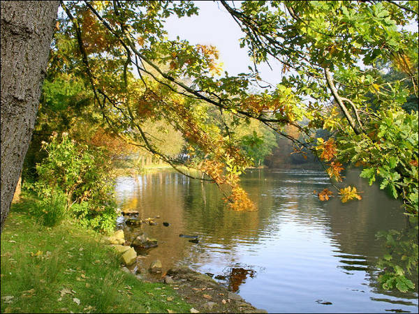 Die schöne Seite von Herbst