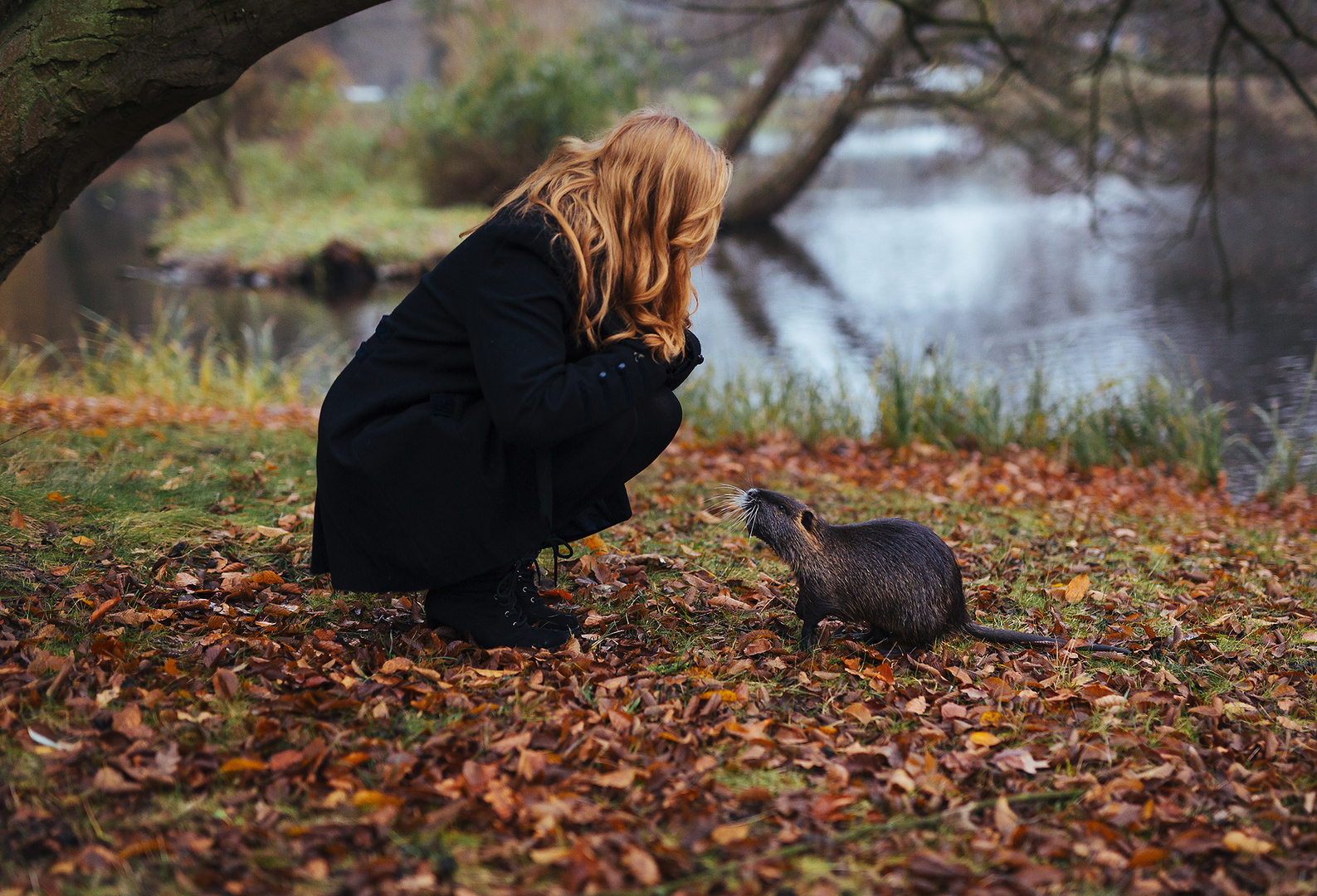 Die Schöne und das Biest… ah Nutria :-)