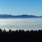 Die schönen Alpen