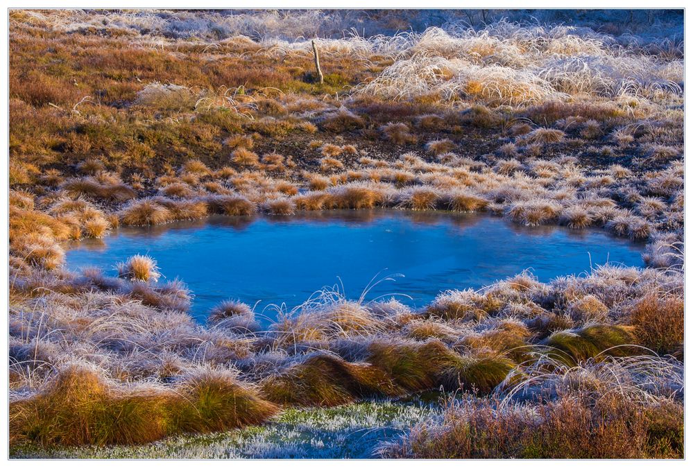 Die schönen Augen einer Landschaft... - oder: Hochmoor aus zweiter Hand...