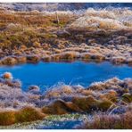 Die schönen Augen einer Landschaft... - oder: Hochmoor aus zweiter Hand...