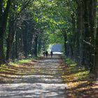 Die schönen Herbsttage sind vorbei, langsam macht sich Melancholie breit.......