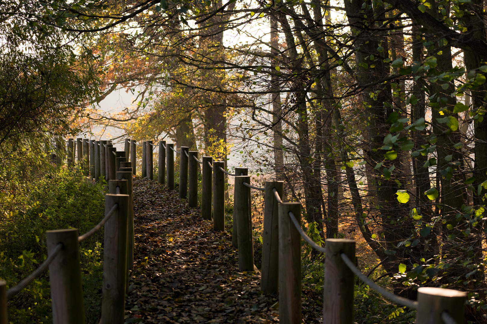 Die schönen Seiten des Herbstes