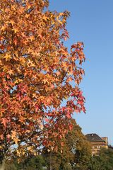 Die schönen Seiten des Herbstes