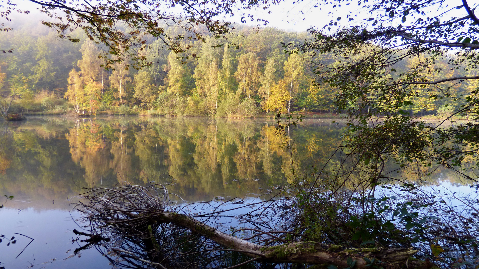 Die schönen Seiten des Herbstes