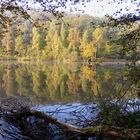 Die schönen Seiten des Herbstes