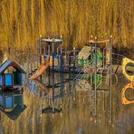 Die schönen Seiten des Hochwassers II