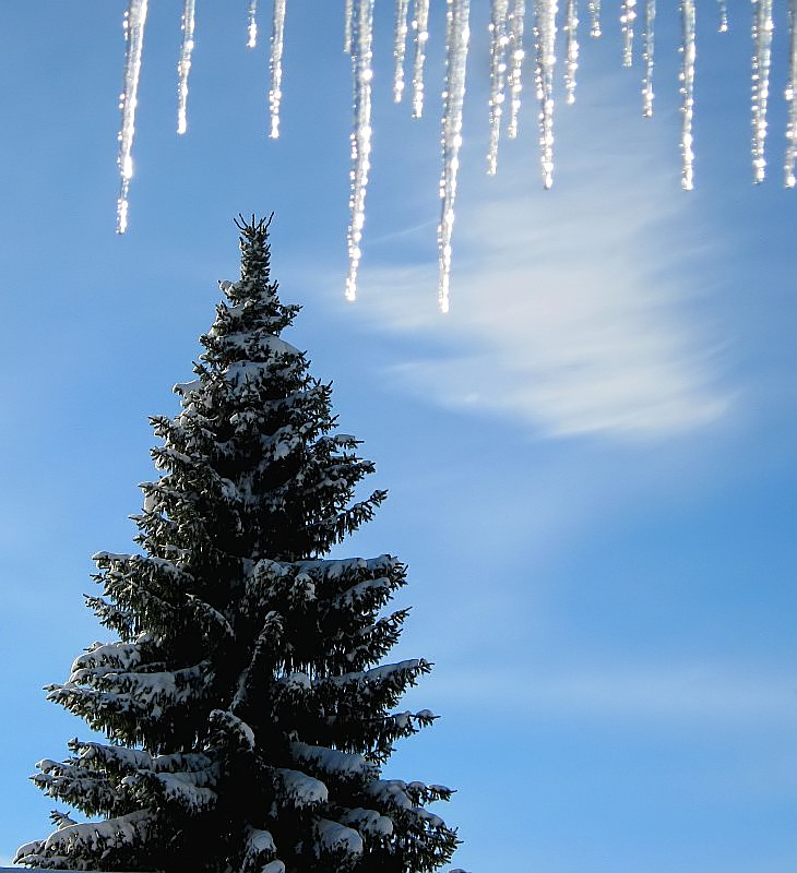 Die schönen Seiten des Winters