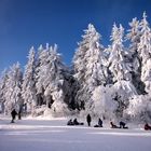 Die schönen Seiten des Winters