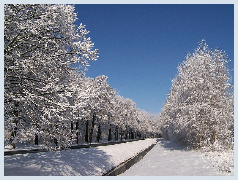 die schönen Seiten des Winters