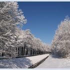 die schönen Seiten des Winters