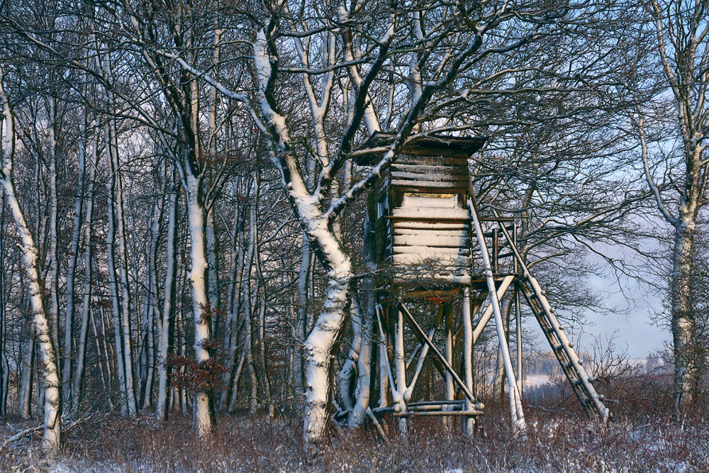 Die schönen Seiten des Winters