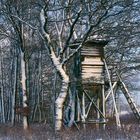 Die schönen Seiten des Winters