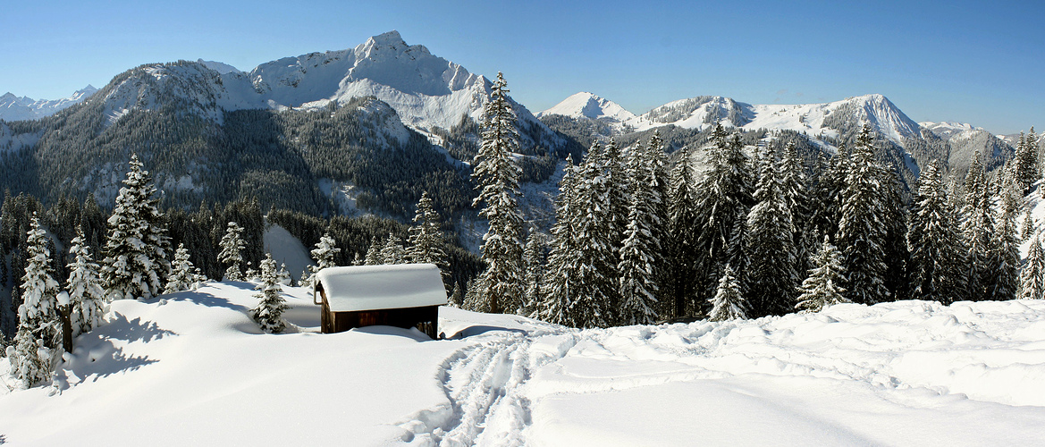 Die schönen Seiten des Winters!