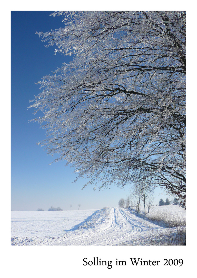 Die schönen Seiten des Winters