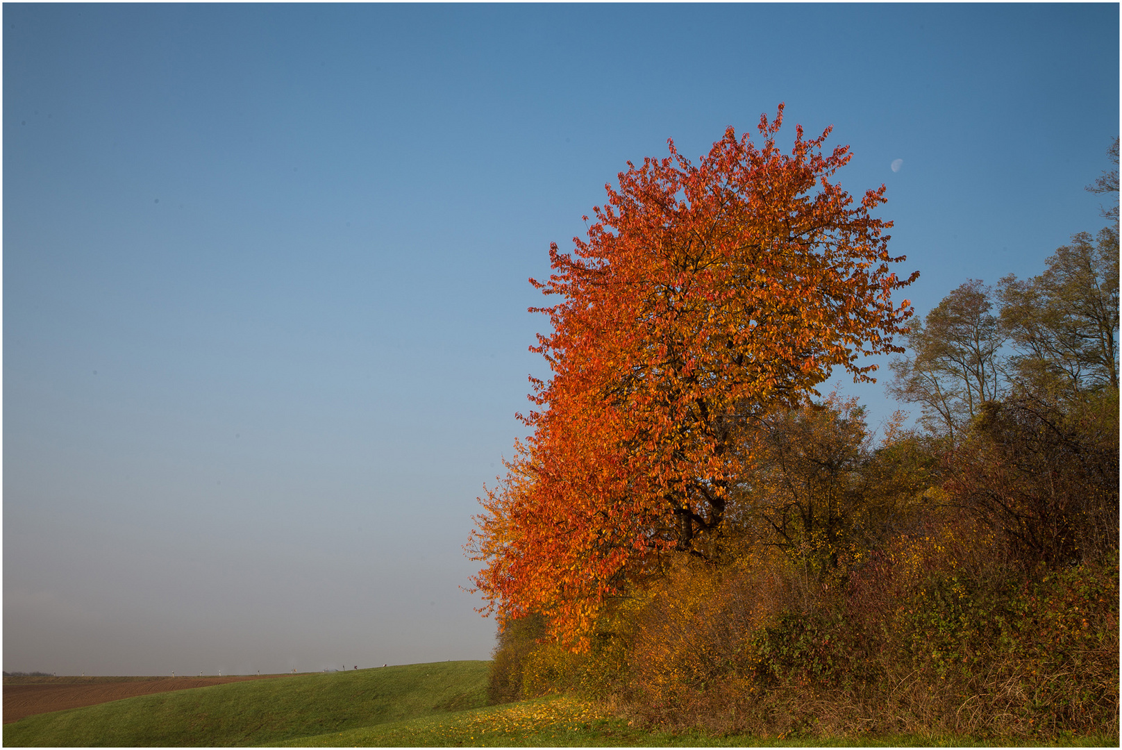 Die schönen Seiten vom Herbst