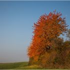 Die schönen Seiten vom Herbst