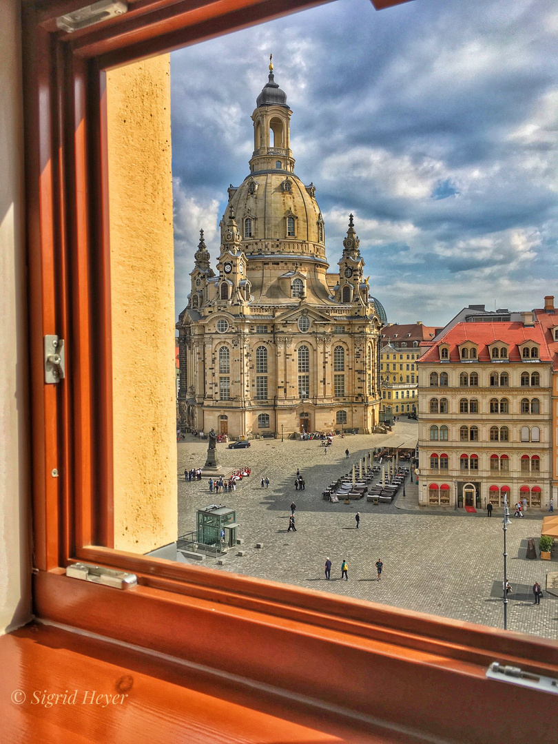 Die Schönheit am Neumarkt