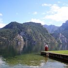 Die schönheit der Alpen