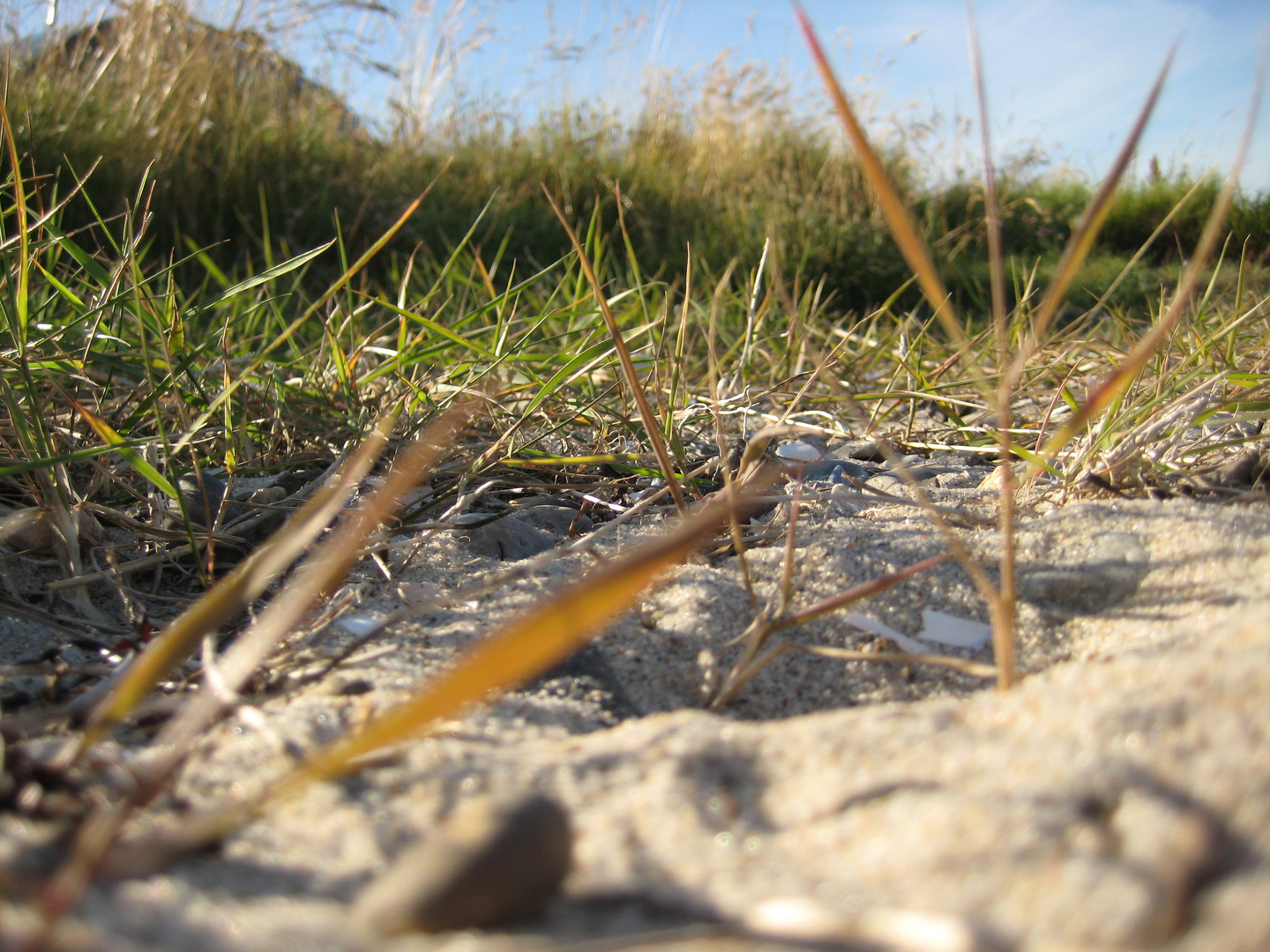 Die Schönheit der Natur 2