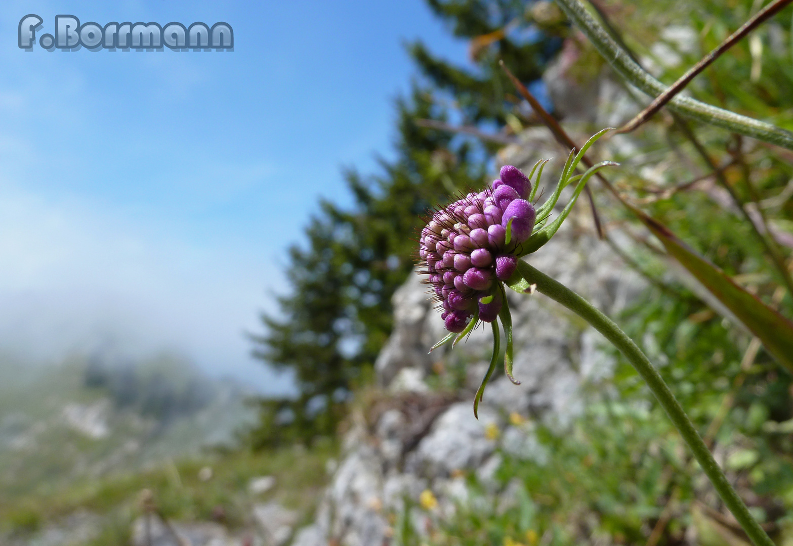 Die Schönheit der Natur...