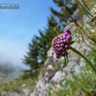 Die Schönheit der Natur...