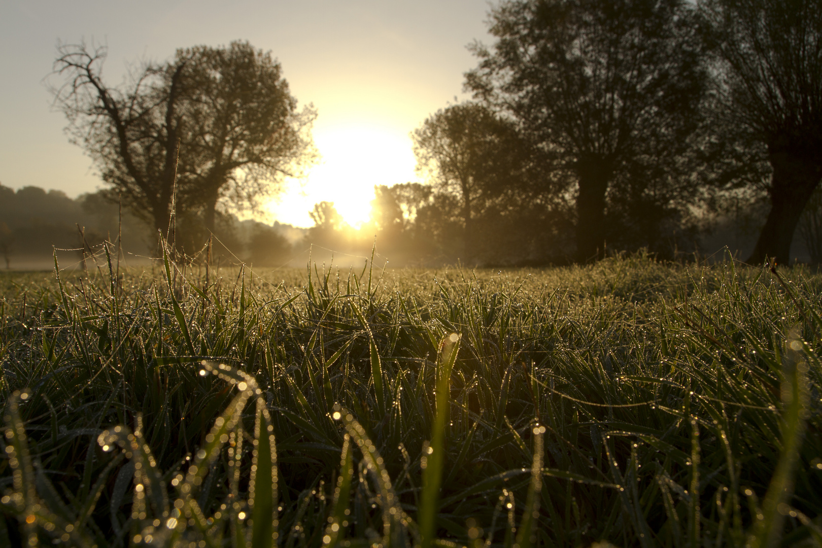 Die schönheit der Natur Foto & Bild  sonnenaufgänge, himmel & universum, sonnenaufgang 