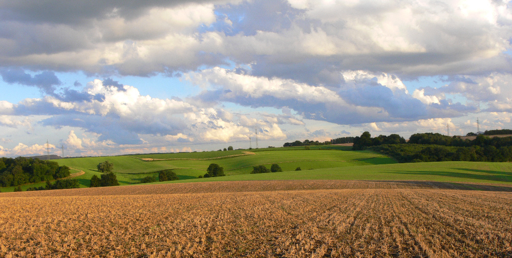 Die Schönheit der Natur