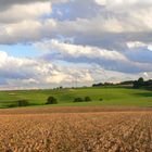 Die Schönheit der Natur