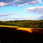 Die Schönheit der Natur