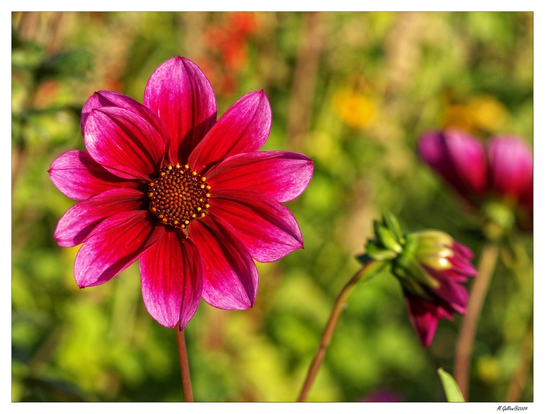 Die Schönheit der Natur Foto & Bild  emotionen, staunen, spezial Bilder auf fotocommunity