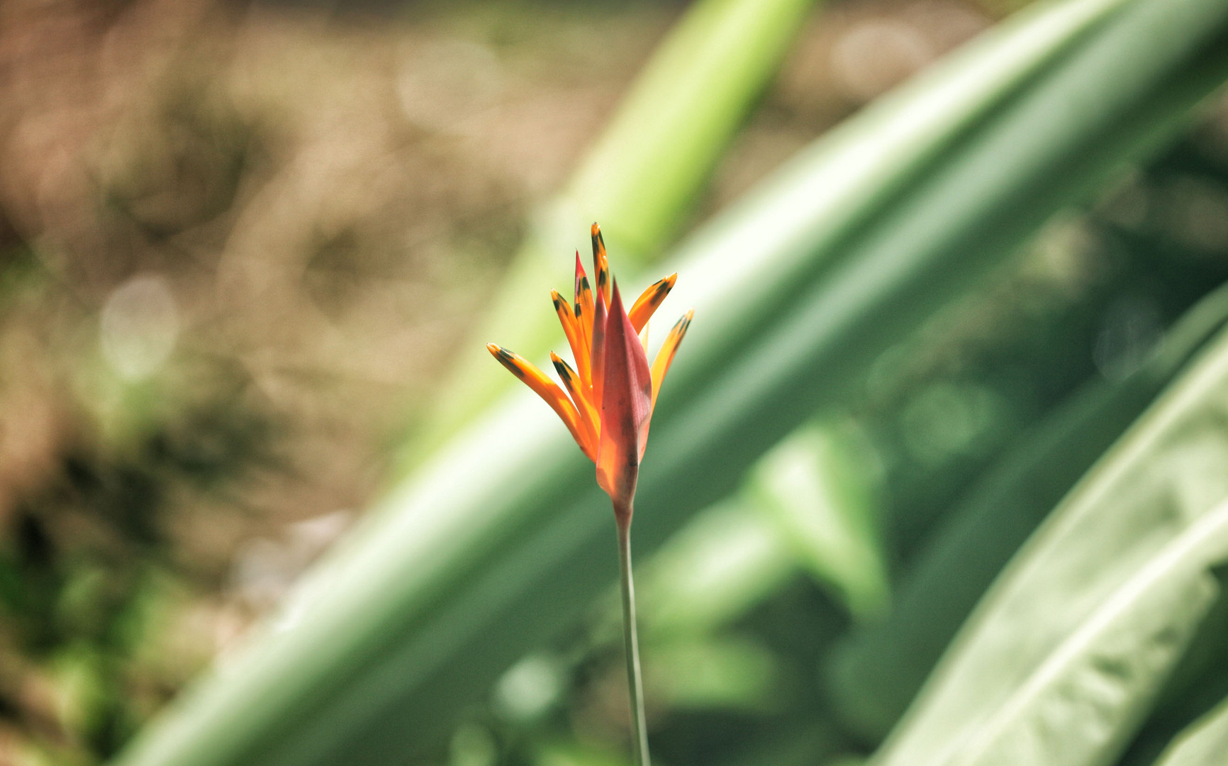 Die Schönheit der Natur