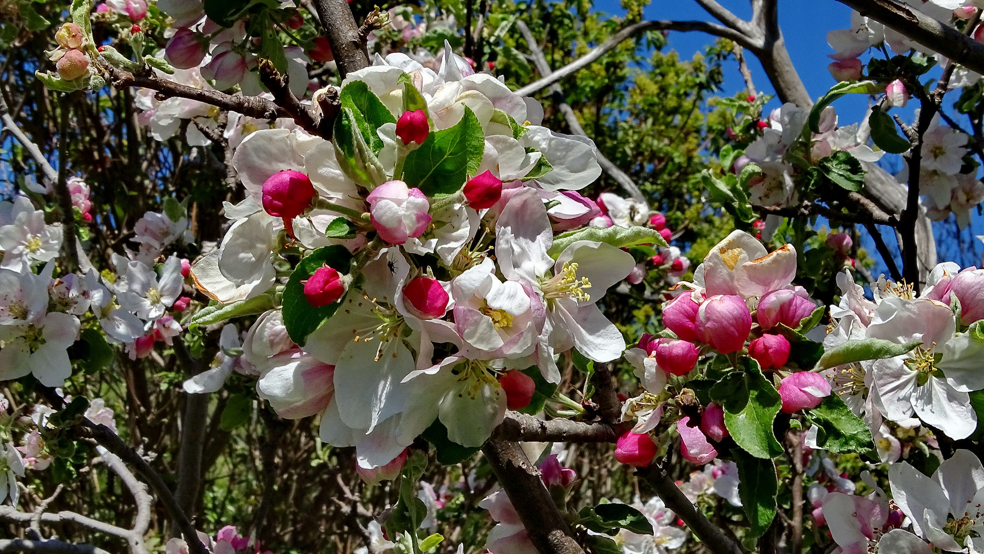 Die Schönheit der Natur...!!!