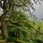 Die Schönheit der Natur