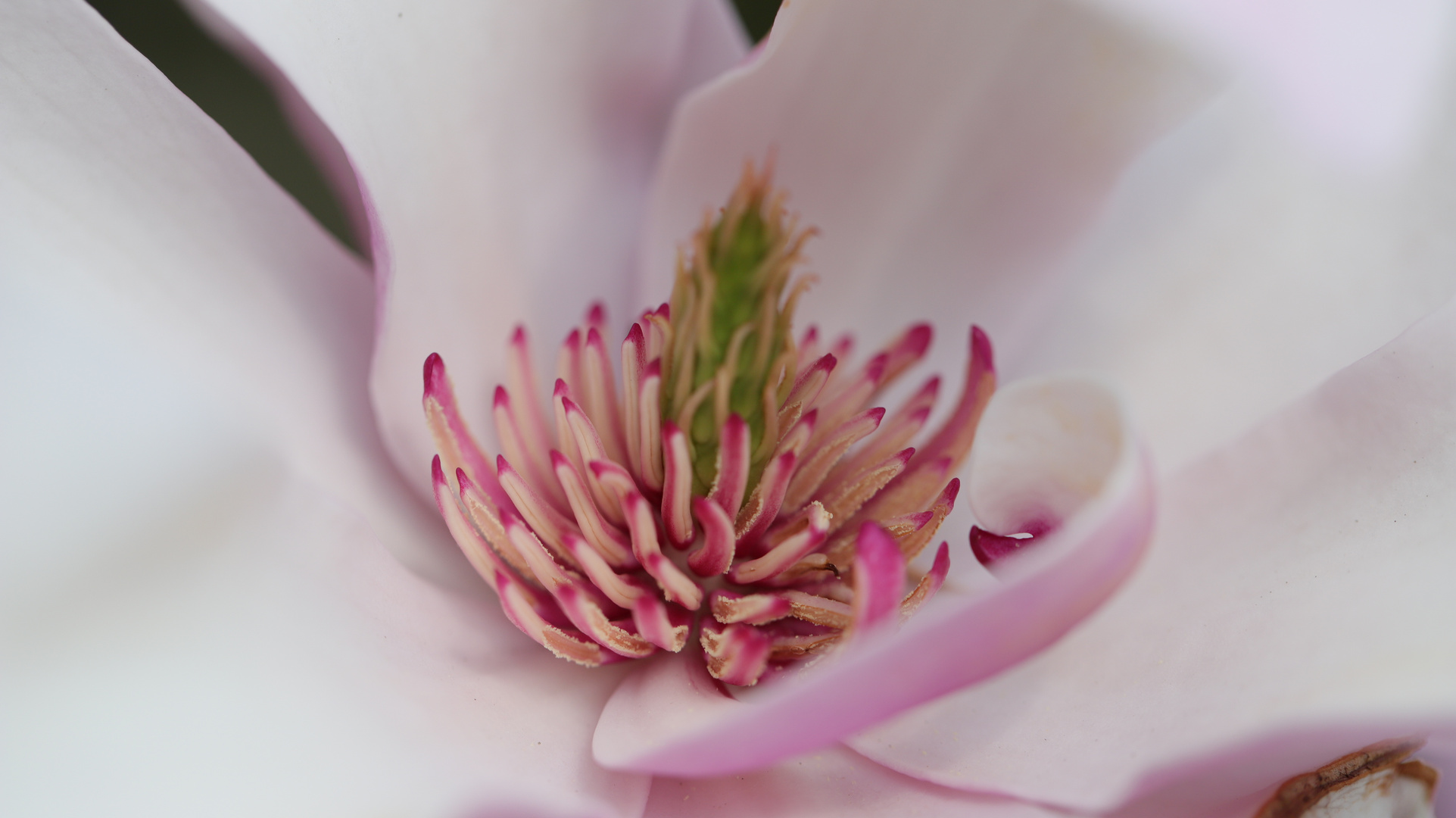 Die Schönheit der Natur im Detail...