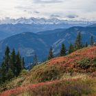 Die Schönheit der Natur jeden Herbst auf der Wanderung zum Schneeberg (1) 