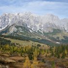 Die Schönheit der Natur jeden Herbst auf der Wanderung zum Schneeberg (2) 