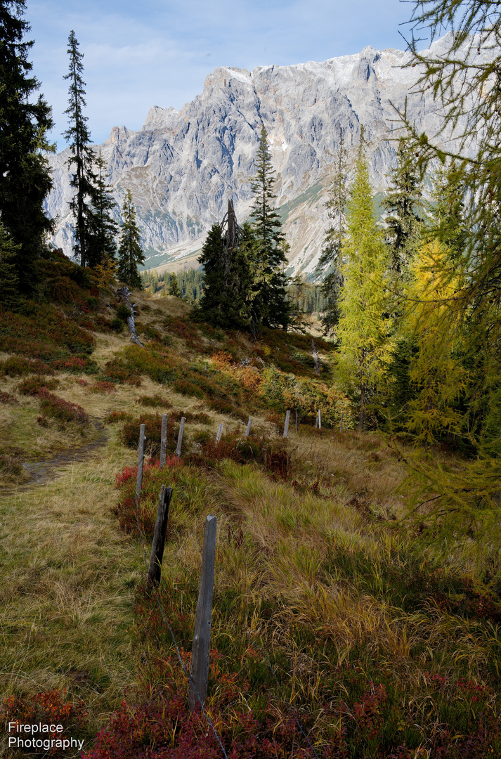 Die Schönheit der Natur jeden Herbst auf der Wanderung zum Schneeberg (3) 