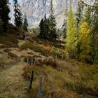 Die Schönheit der Natur jeden Herbst auf der Wanderung zum Schneeberg (3) 