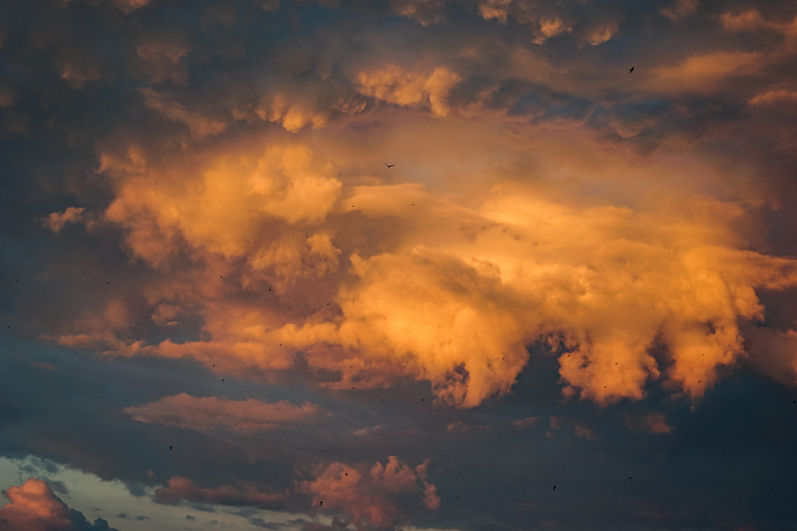 Die Schönheit der Wolken