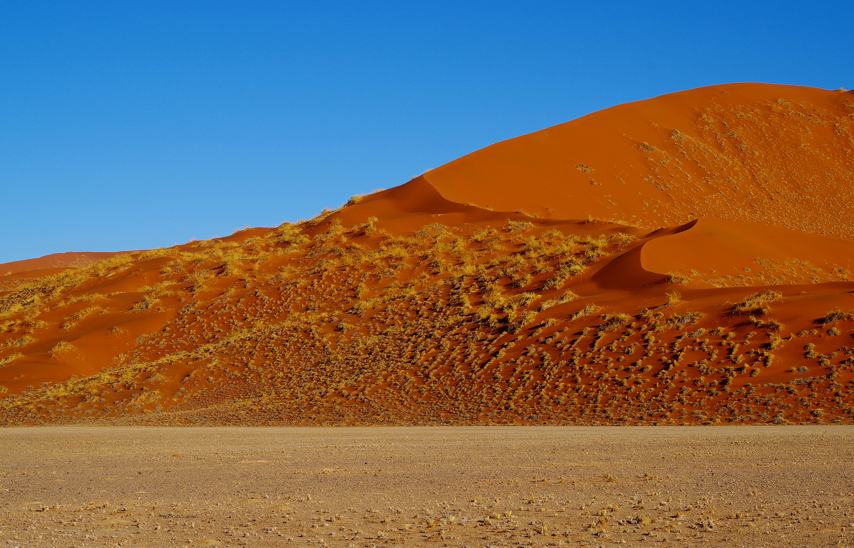 die Schönheit der Wüste
